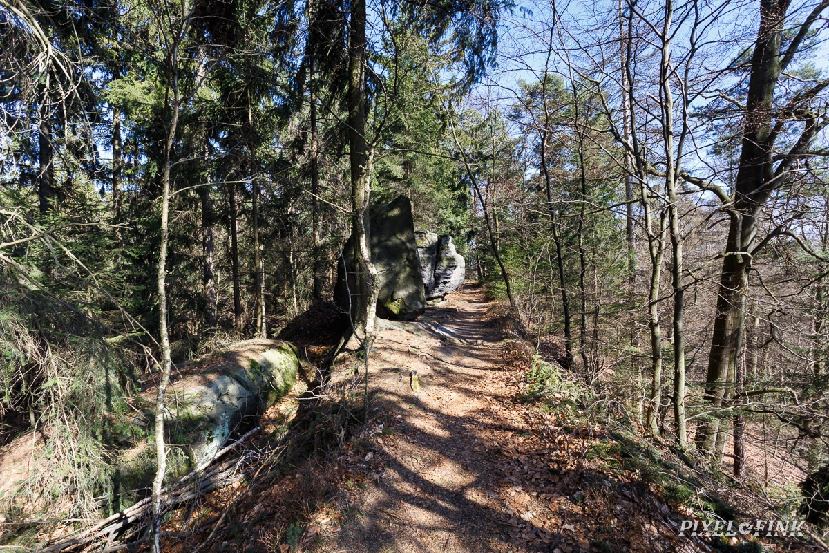 AS_20180407__MG_3061.jpg