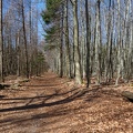 AS_20180407__MG_3030.jpg
