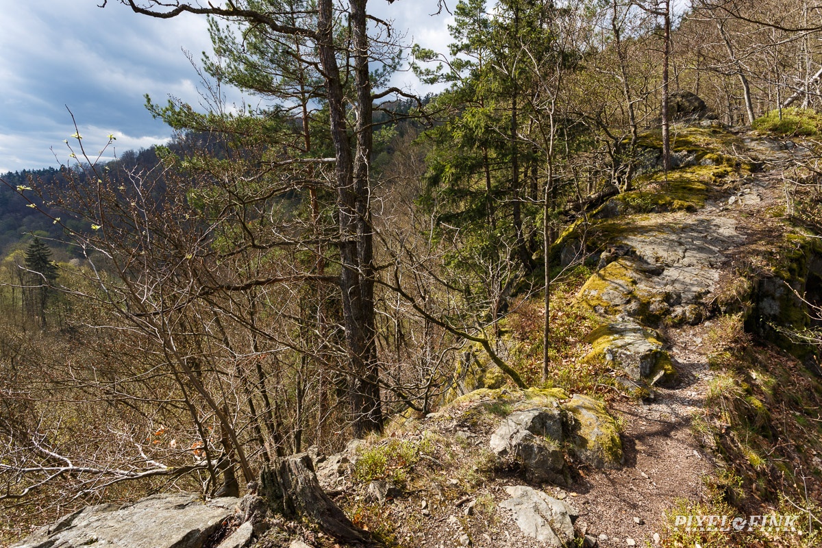 AS_20180414__MG_3140.jpg