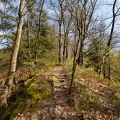 AS_20180414__MG_3133.jpg