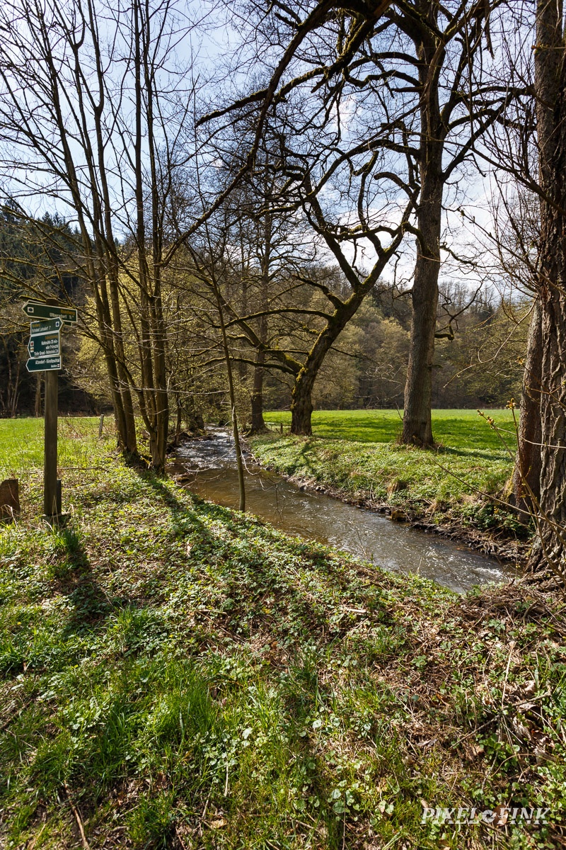 AS_20180414__MG_3096.jpg