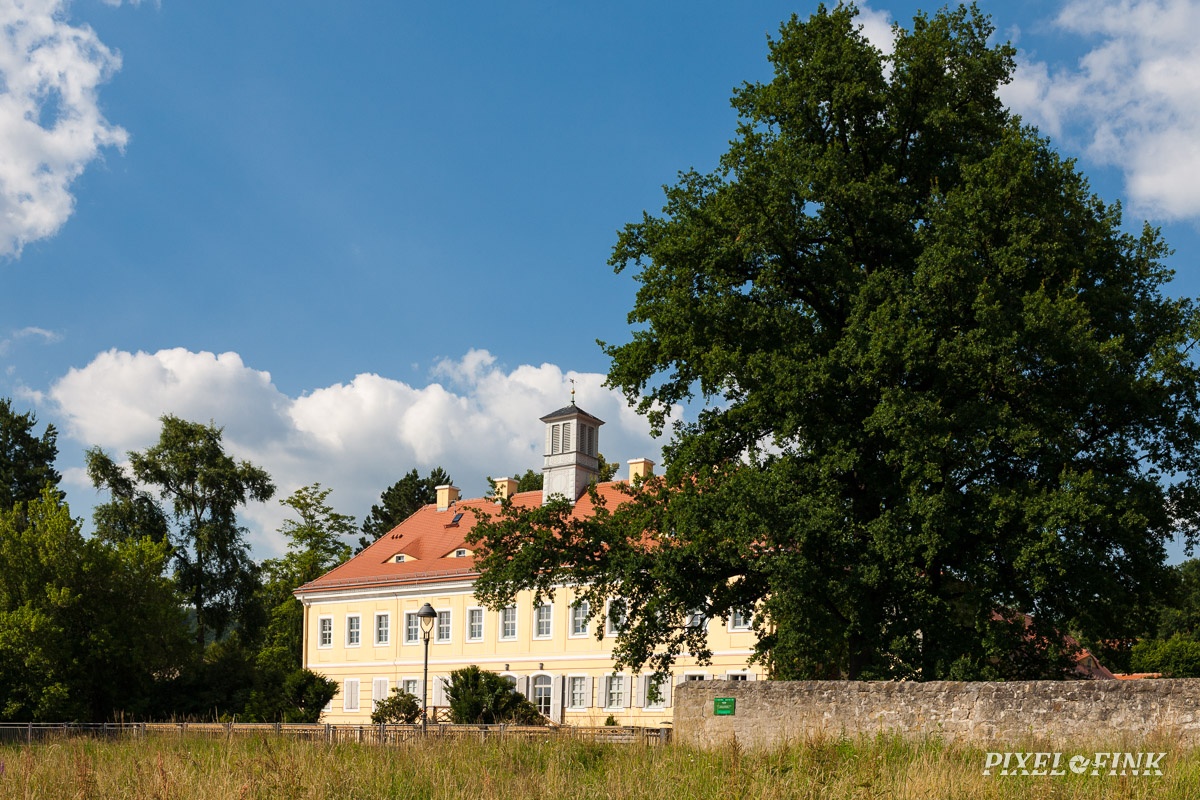 JUS_20130708__MG_1330.jpg
