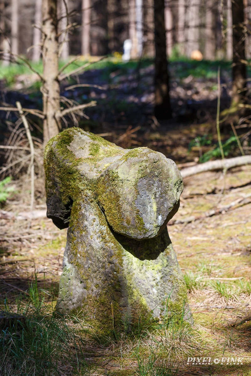 JUS_20180506__MG_2487.jpg