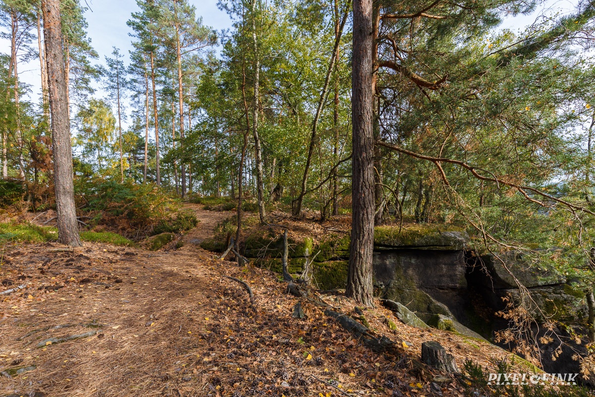 JUS_20181006__MG_3084.jpg