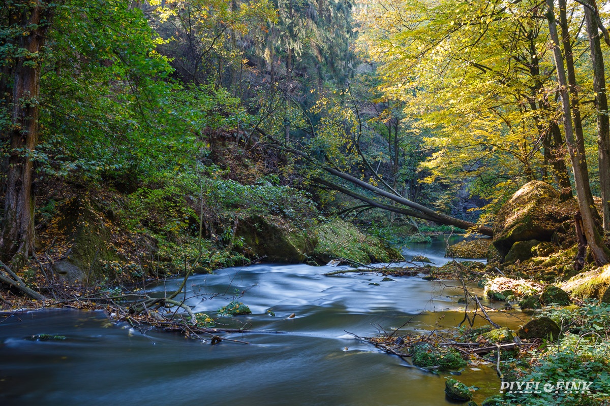 JUS_20181013__MG_3146.jpg