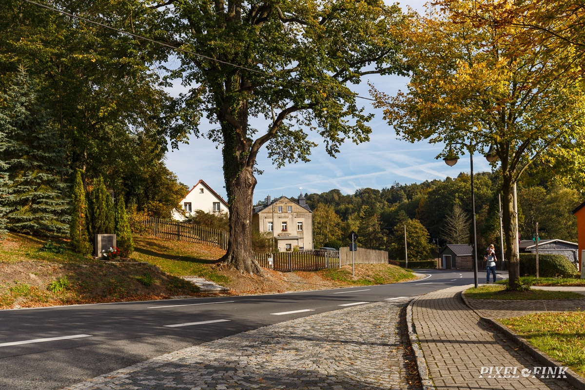 JUS_20181006__MG_3102.jpg