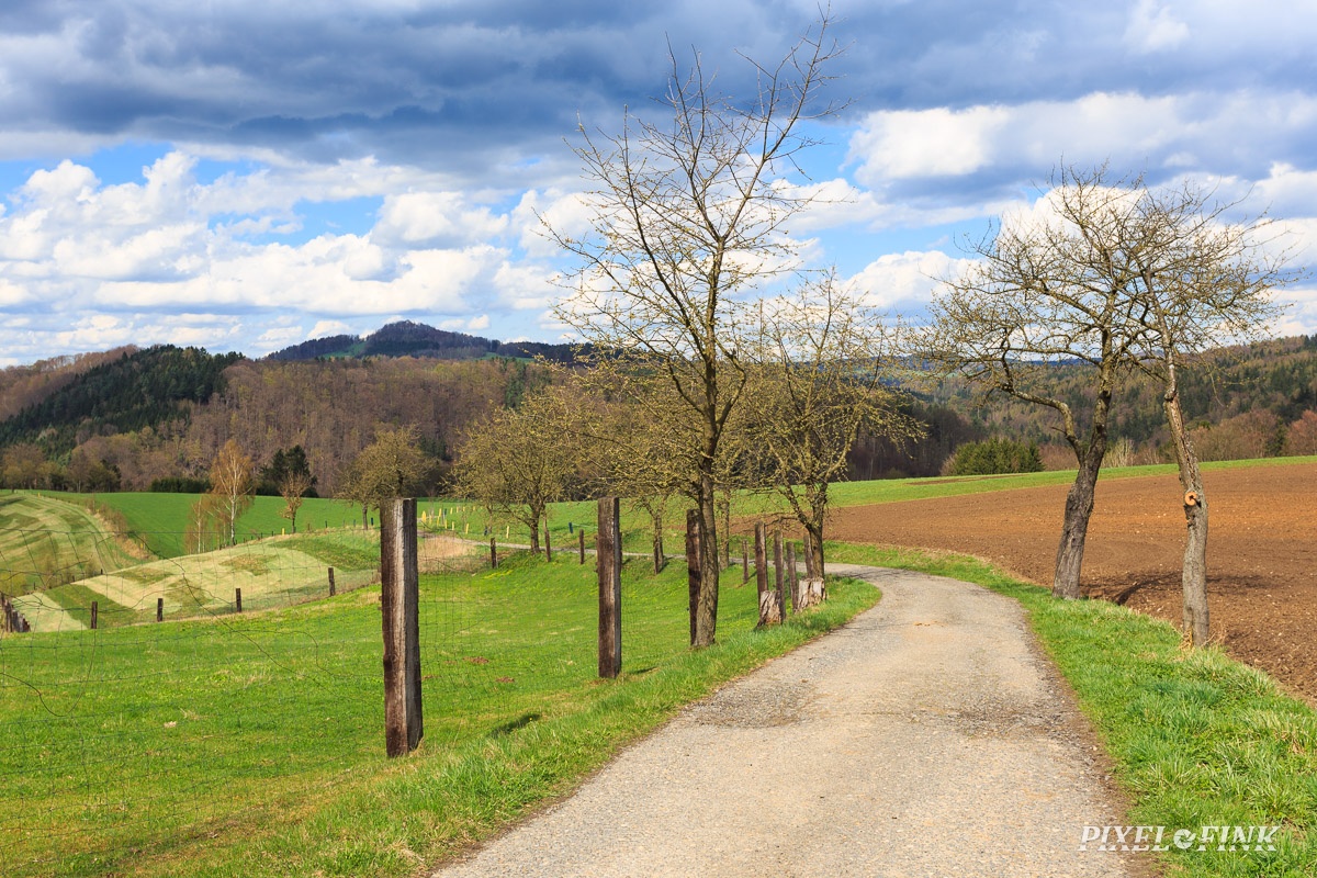 AS_20180414__MG_3076.jpg
