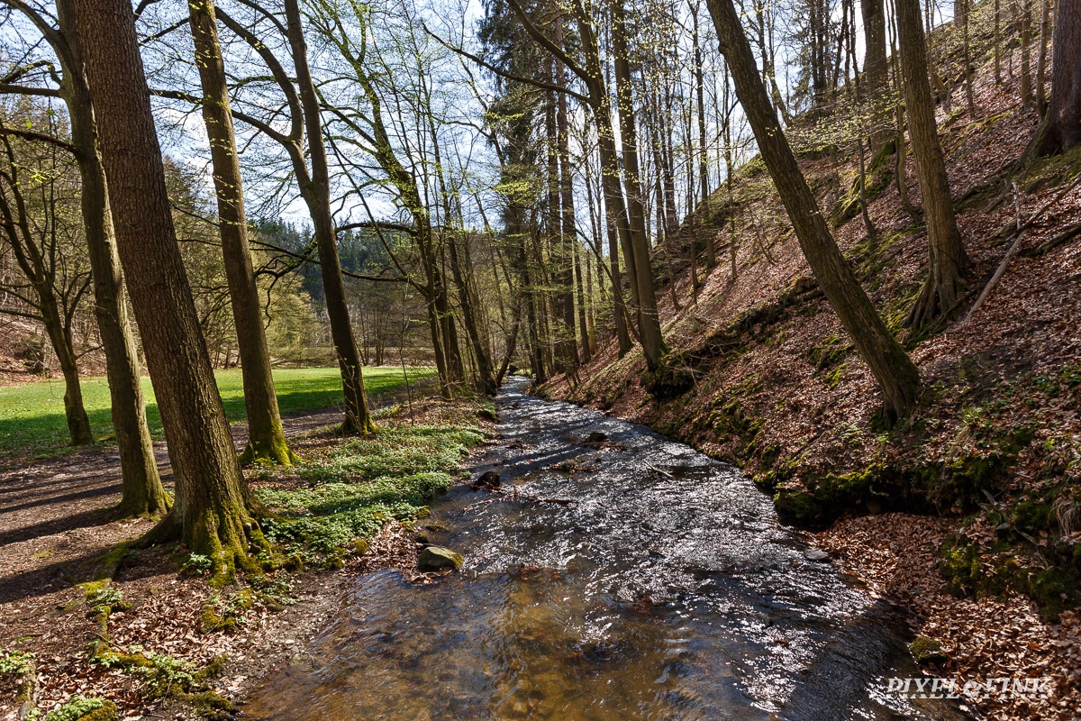 AS_20180414__MG_3108.jpg