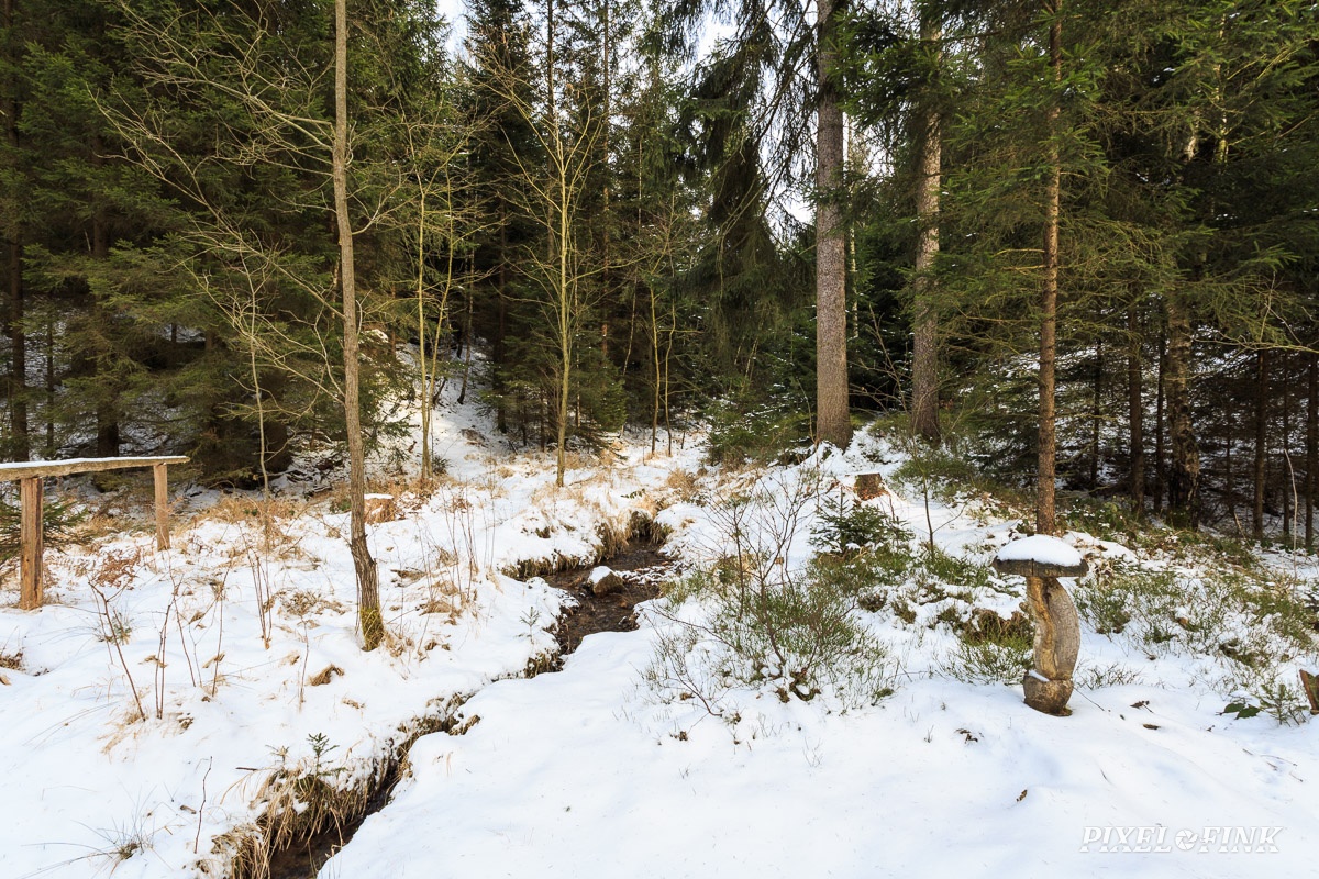 AS_20180318__MG_2973.jpg