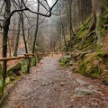 AS_20180127__MG_2889.jpg