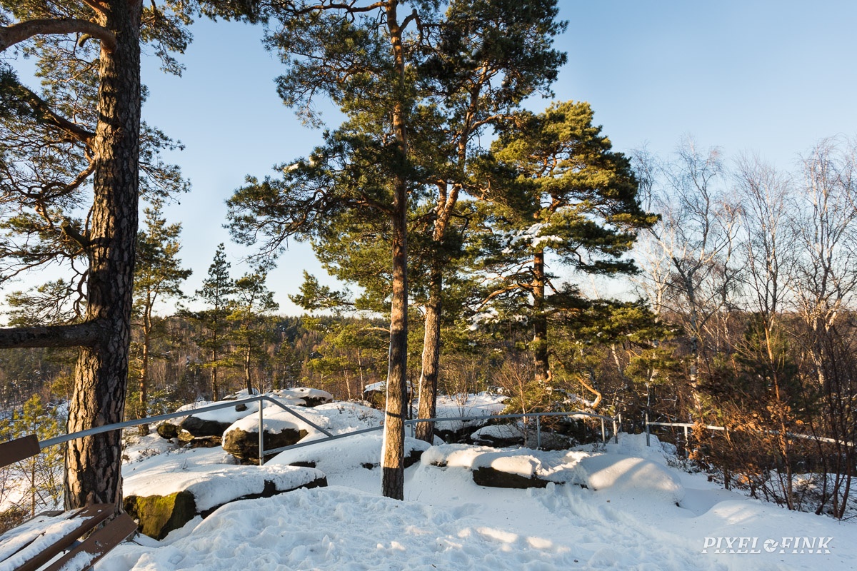 AS_20170122__MG_1518.jpg