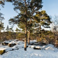 AS_20170122__MG_1518.jpg