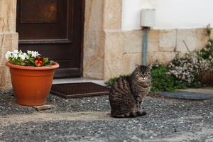 JUS 20090429 IMG 2950