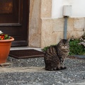 JUS_20090429_IMG_2950.jpg