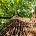 JUS_20100731_IMG_7488.jpg