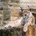 JUS_20110727_IMG_9348.jpg