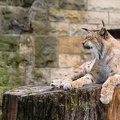 JUS_20110727_IMG_9351.jpg