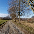 AS_20190224__MG_3935.jpg