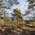 AS_20190223__MG_3894.jpg