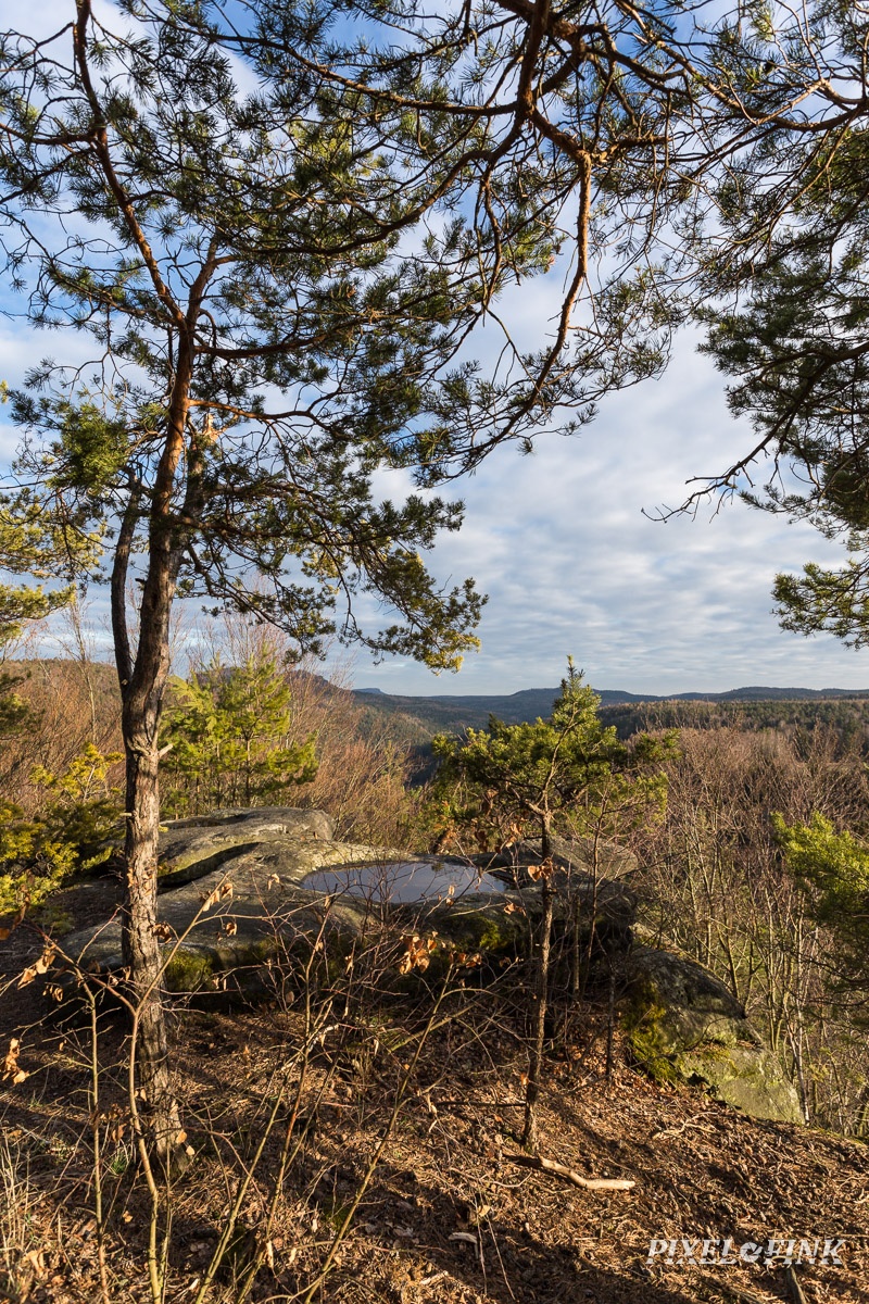 AS_20190223__MG_3899.jpg