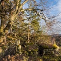 AS_20190223__MG_3913.jpg