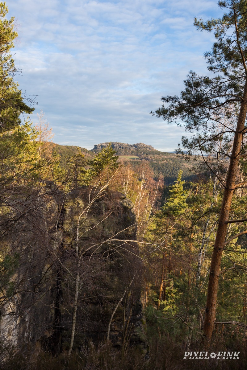 AS_20190223__MG_3922.jpg