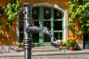 AS 20090613 IMG 0390