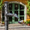 AS_20090613_IMG_0390.jpg