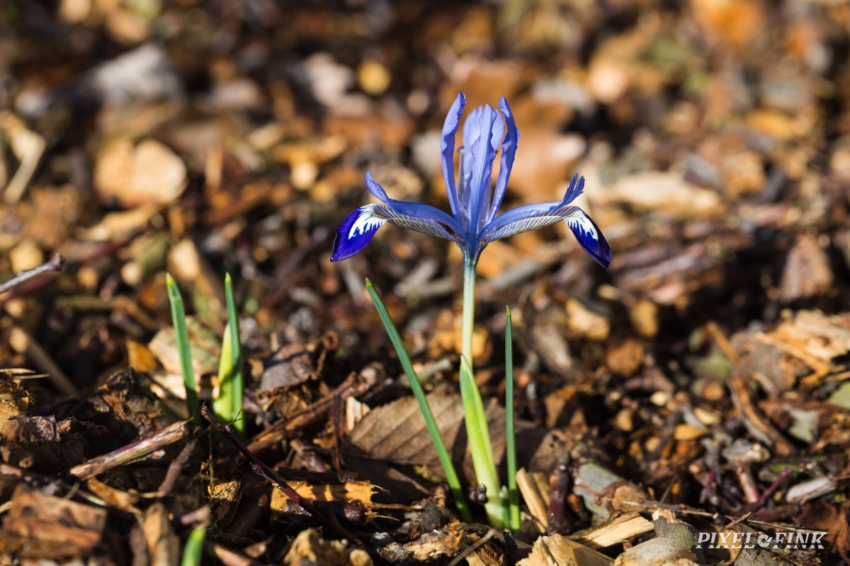 JUS_20190309__MG_3830.jpg