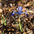 JUS_20190309__MG_3830.jpg