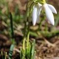 JUS_20190309__MG_3843.jpg