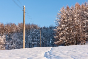 AS 20121201 IMG 3325