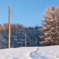 AS_20121201_IMG_3325.jpg