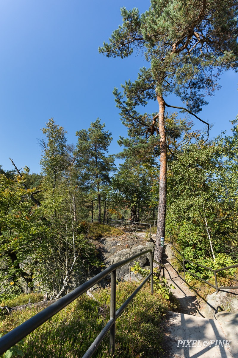 AS_20170929__MG_2204.jpg