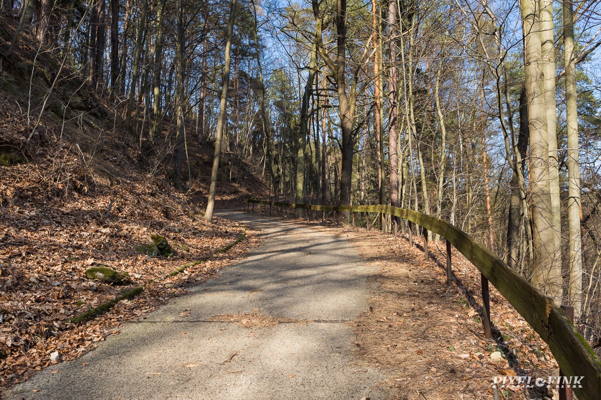 AS_20190323__MG_4058.jpg
