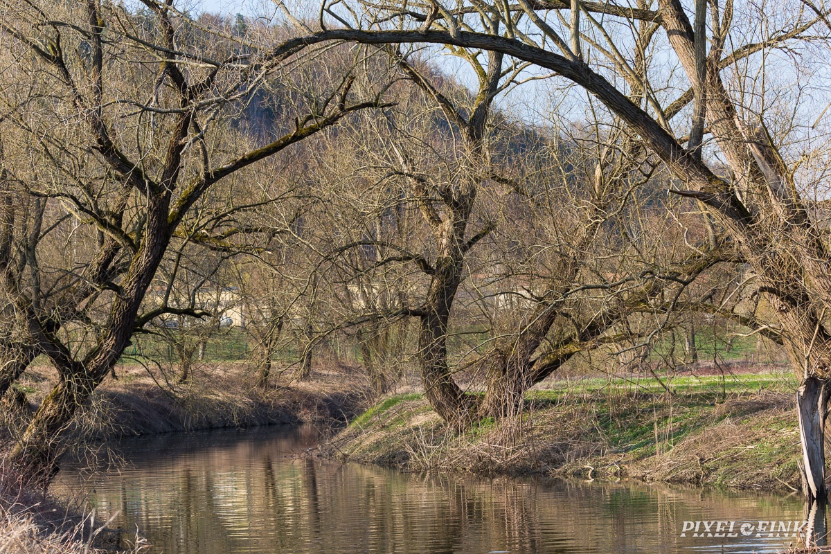AS_20190323__MG_4073.jpg