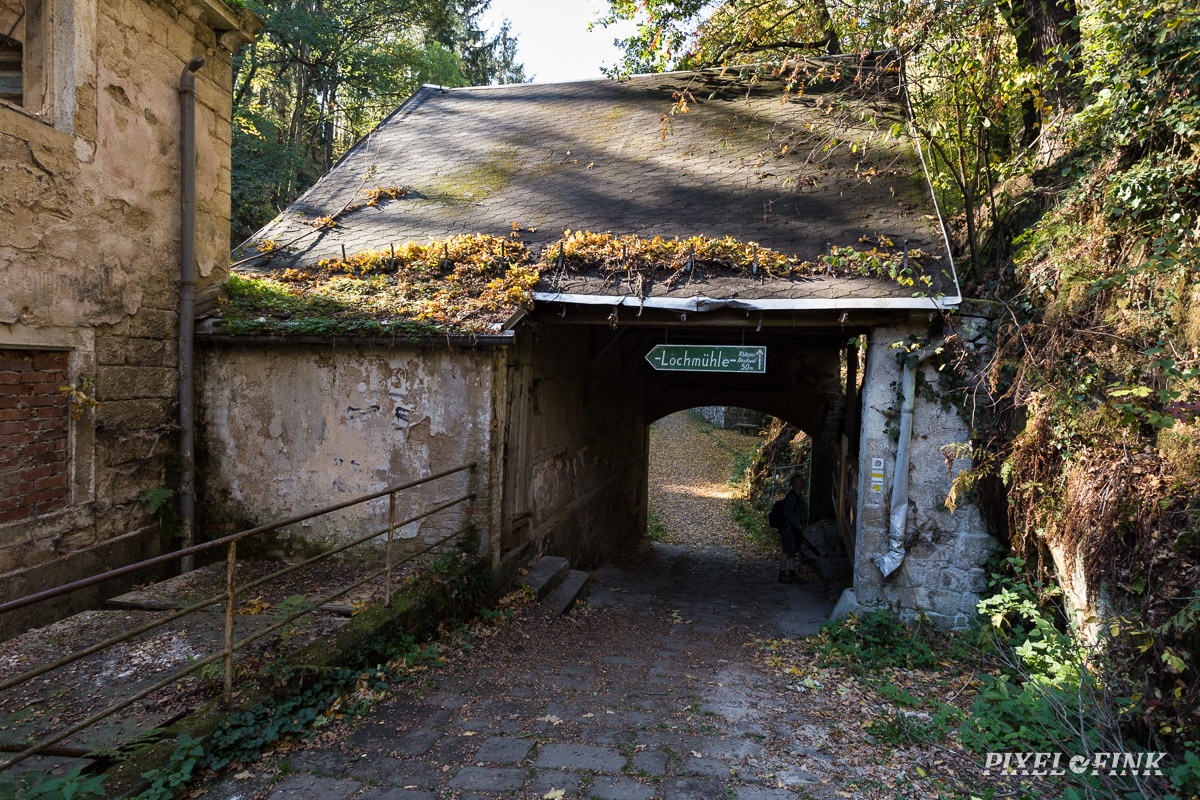 AS_20181013__MG_3678.jpg