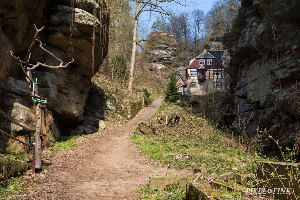 AS_20190406__MG_4177.jpg