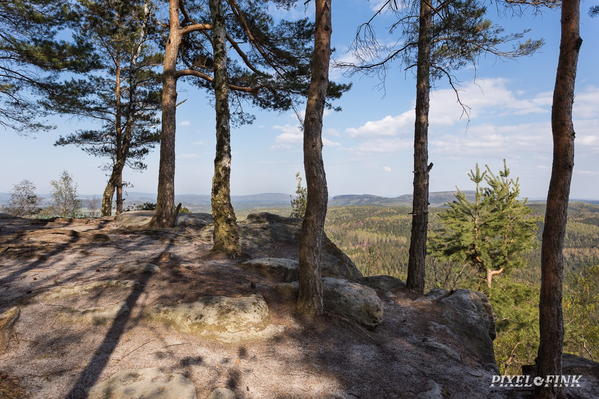 AS_20190417__MG_4432.jpg