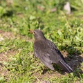 AS_20190410__MG_4236.jpg