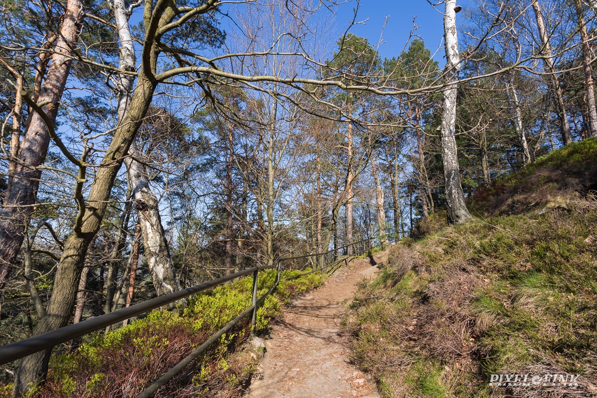 AS_20190415__MG_4348.jpg