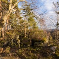 JUS_20190223__MG_3683.jpg