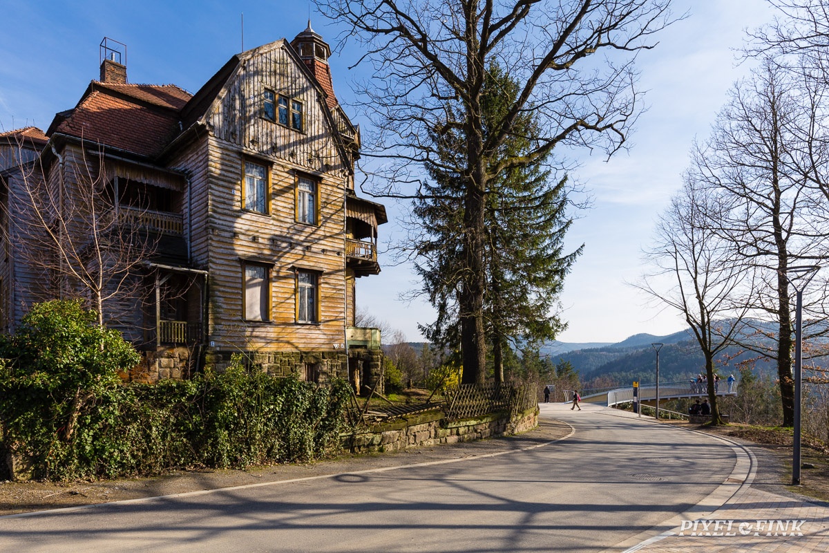 JUS_20190330__MG_4220.jpg