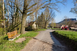 AS 20190415  MG 4388