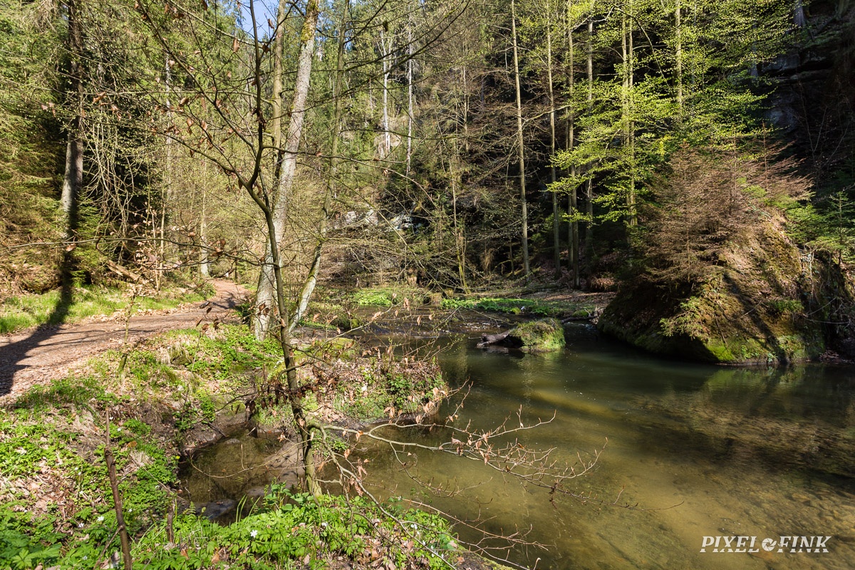 AS_20190418__MG_4493.jpg