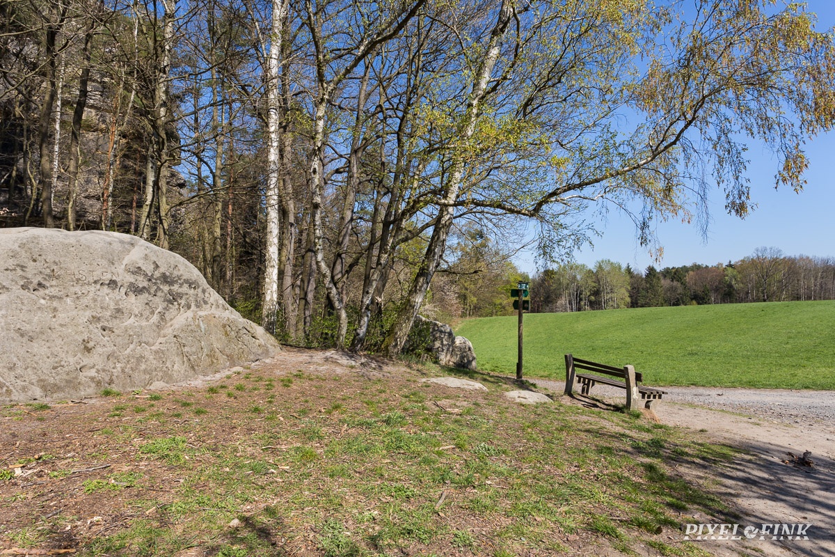 AS_20190415__MG_4256.jpg