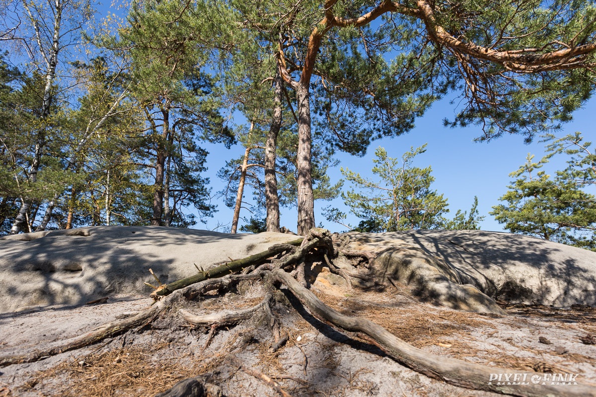 AS_20190415__MG_4275.jpg