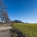 AS_20190224__MG_3931.jpg