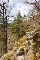 AS 20180414  MG 3139