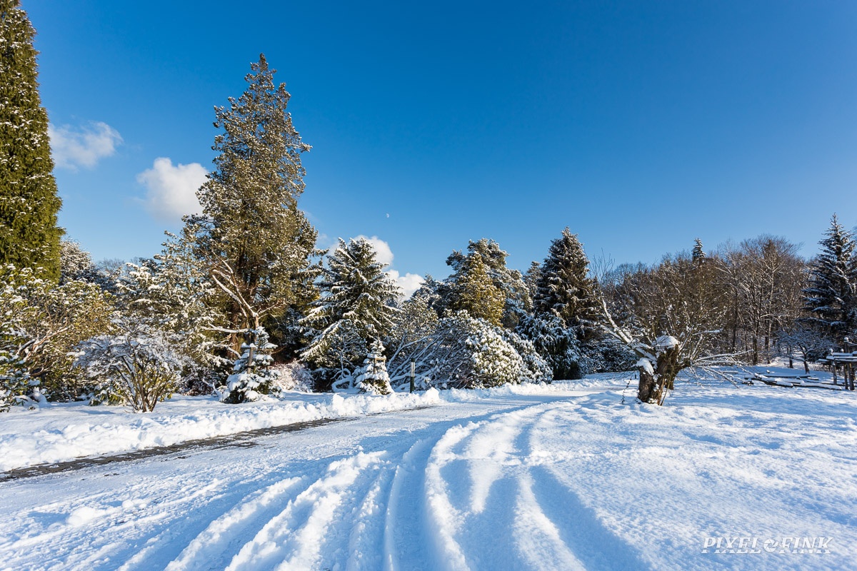 AS_20160118__MG_0158.jpg